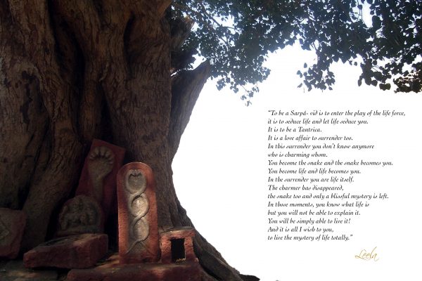 Whispering Transmission Revised SarpaVid