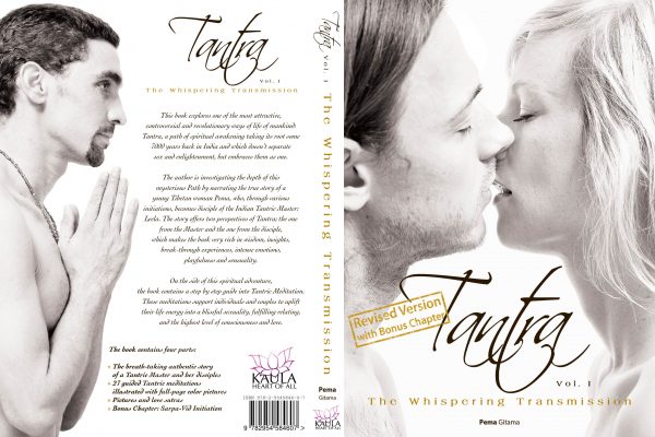 Whispering Transmission cover revised