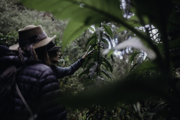 Pilgrimage Peru 23-11