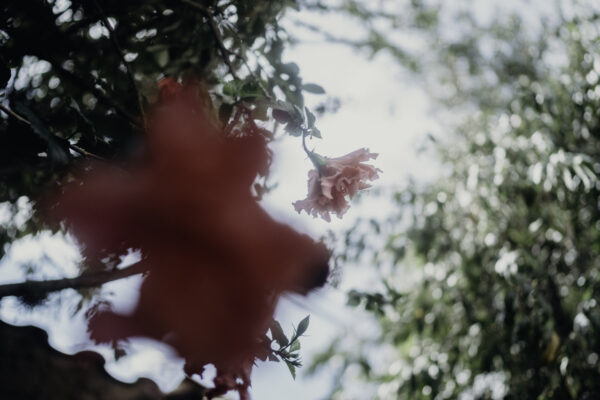 Pilgrimage Peru 23-13