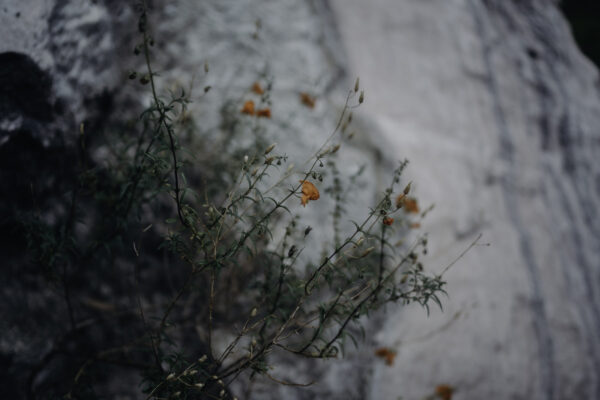 Pilgrimage Peru 23-26