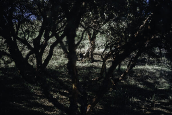 Pilgrimage Peru 23-4