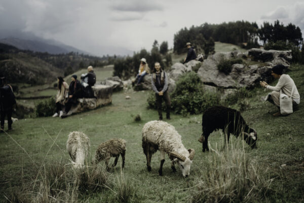 Pilgrimage Peru 23-41