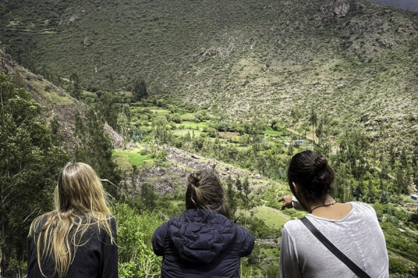 f6f2dff5-4a24-4a4e-9712-b6fbc81fceee